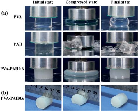 common ways hydrogels are tested in compression|aqueous solution of a hydrogel.